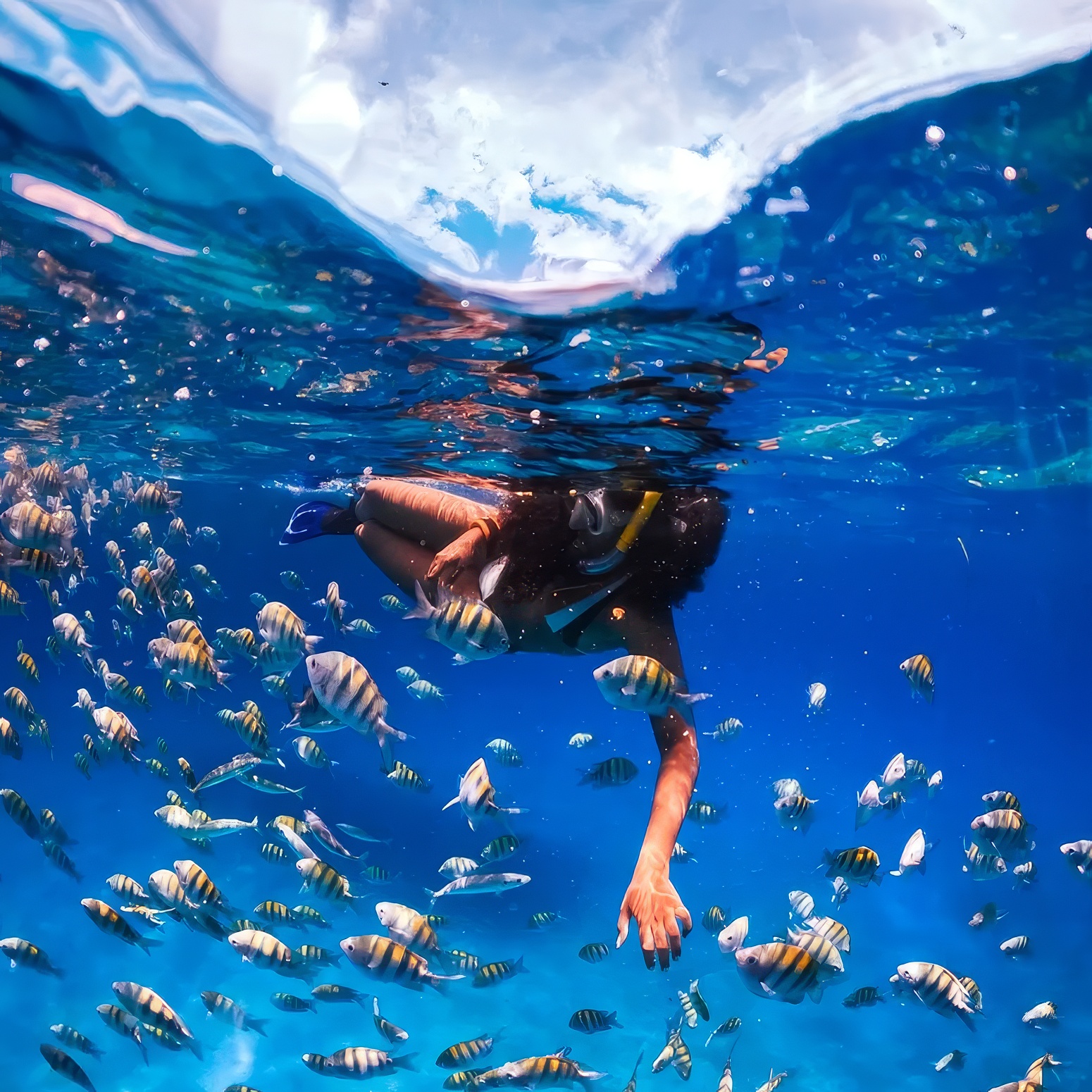 Underwater reef shot